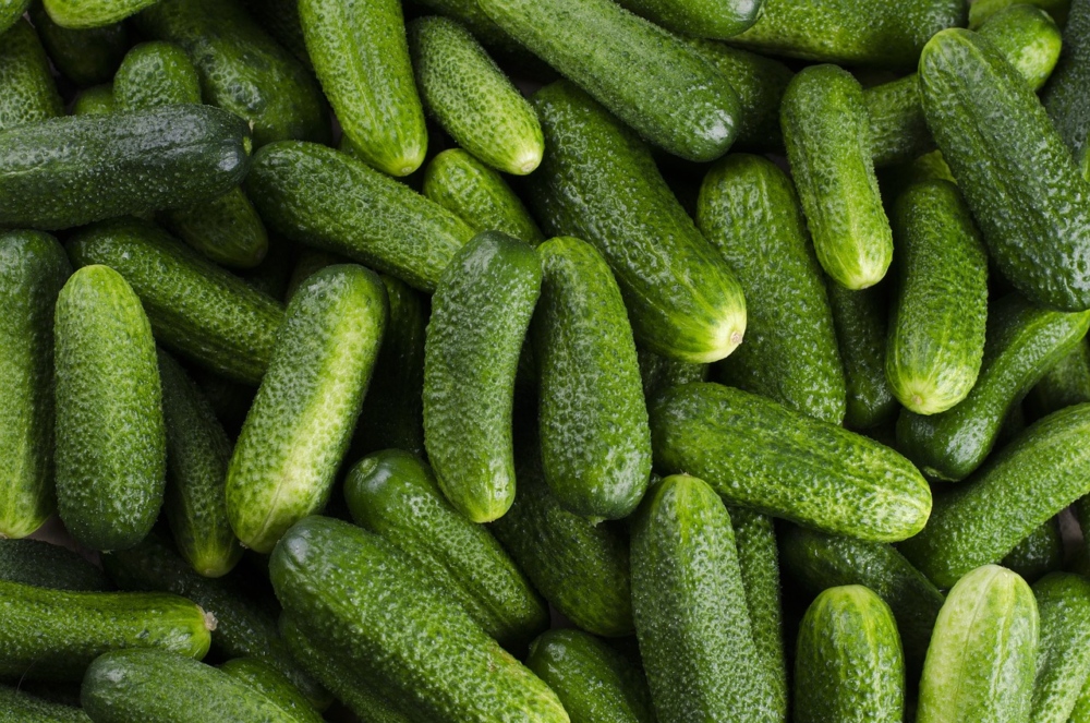 Cucumbers