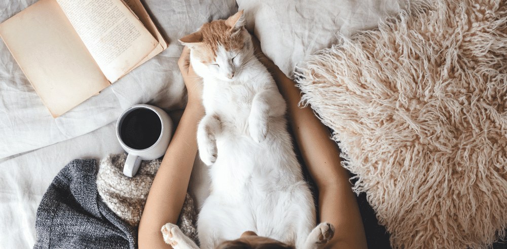Як доглядати за котом?